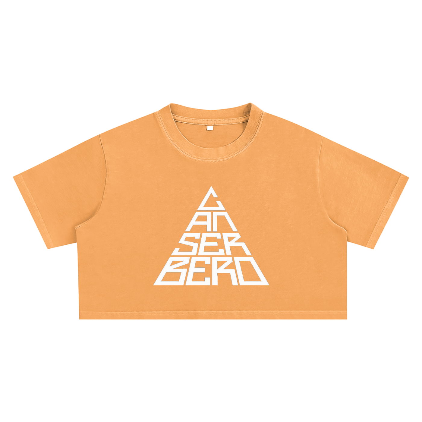 Snow Washed Crop Top