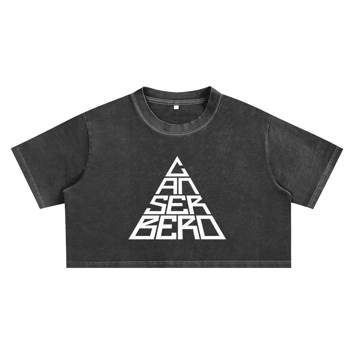Snow Washed Crop Top
