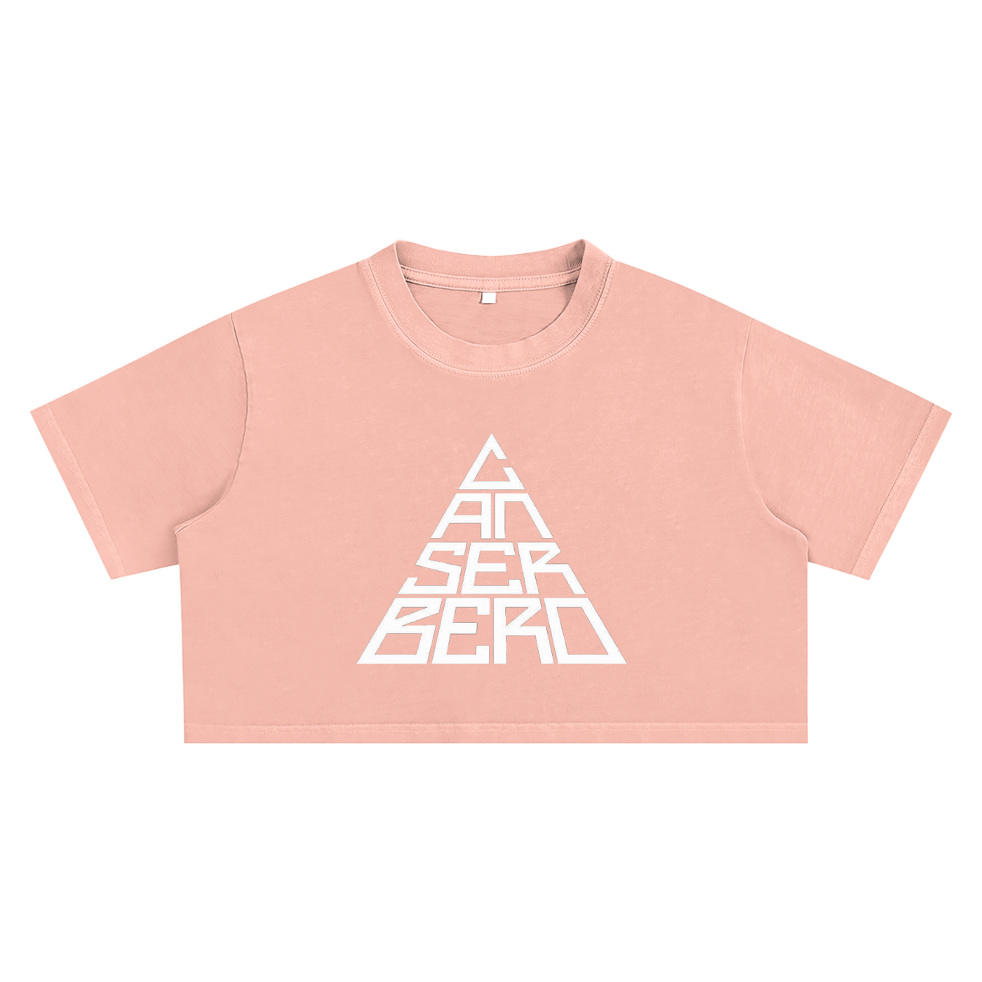 Snow Washed Crop Top
